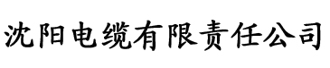 国产小视频在线高清播放电缆厂logo